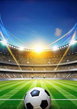 意甲直播体育 Logo